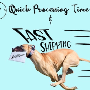May include: A brown and white dog is running with a white package in its mouth. The package has the text "MonsterTrucks.cz" printed on it. The dog is wearing a red, white and blue collar. The background is light blue with the text "Quick Processing Time & Fast Shipping" in black.