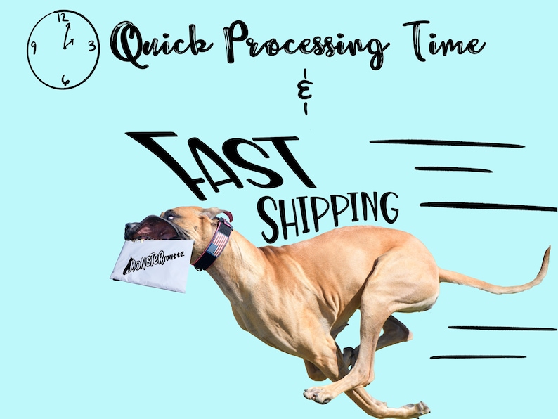 May include: A brown and white dog is running with a white package in its mouth. The package has the text "MonsterTrucks.cz" printed on it. The dog is wearing a red, white and blue collar. The background is light blue with the text "Quick Processing Time & Fast Shipping" in black.