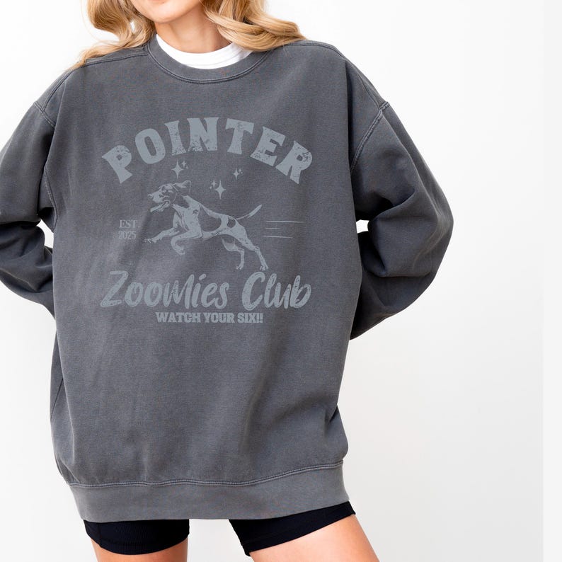 May include: Dark gray sweatshirt with the word "POINTER" above a graphic of a dog and the text "Zoomies Club". The sweatshirt has a crew neck and long sleeves. The text "Watch Your Six!!" is below the dog graphic.
