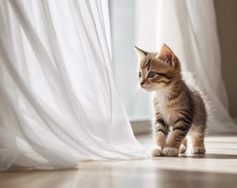 Pode incluir: Um pequeno gatinho malhado castanho e preto com patas e peito brancos está sobre um chão claro. O gatinho está posicionado ao lado de cortinas brancas translúcidas que pendem verticalmente, com uma luz natural suave a iluminar a cena.