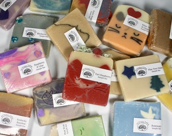 Assorted Soap Sampler (Pack of 4)