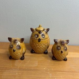 Op de afbeelding: Een keramische keuken set met uilen thema, bestaande uit een container met deksel en twee shakers. De set is voornamelijk bruin met donkerbruine accenten en stervormige oogdetails. De stukken zijn op een houten oppervlak geplaatst.