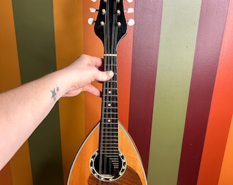 1970s Kent Mandolin Made In Japan Bowl Back Italian Style musical interment strings