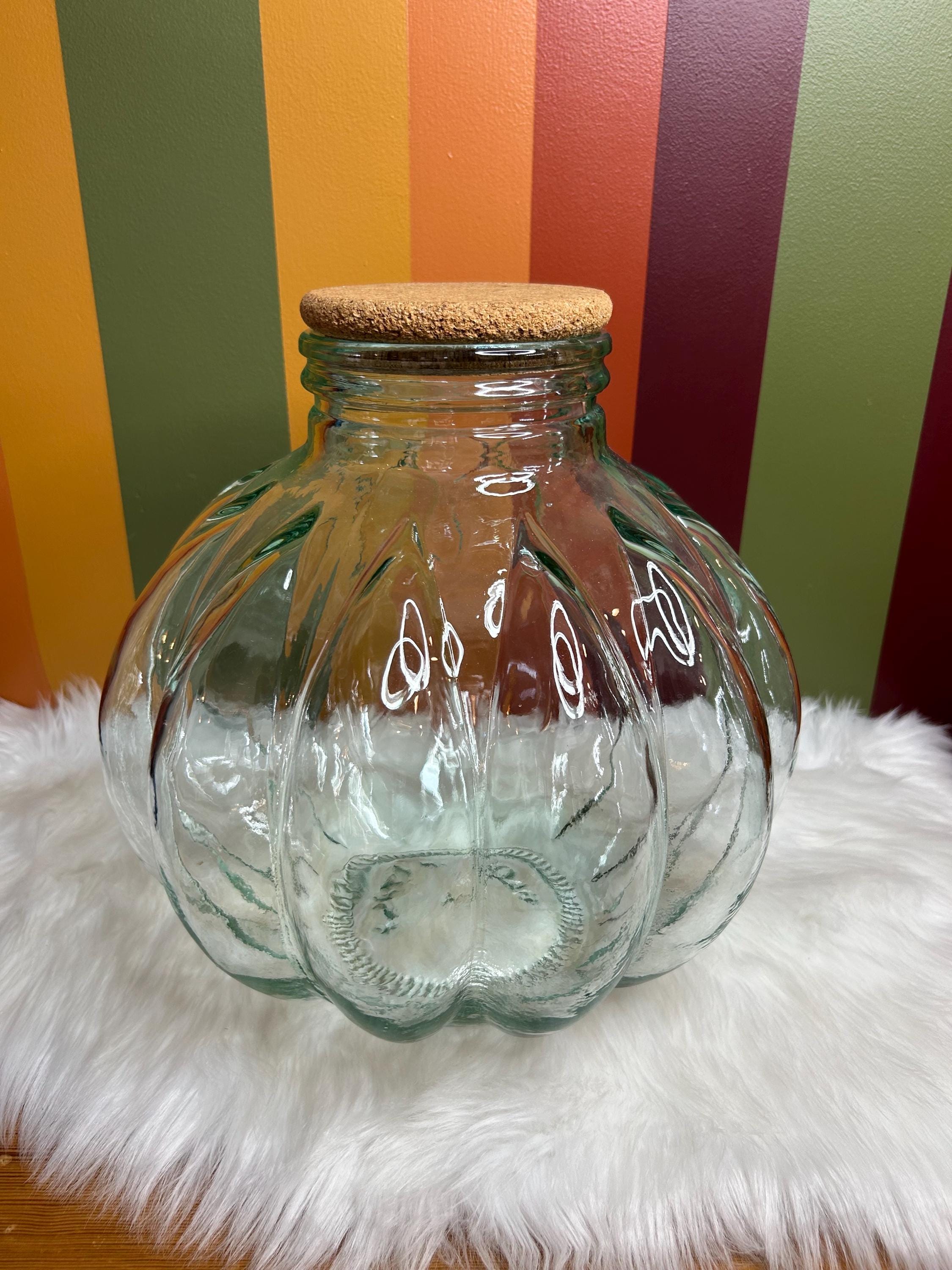 YARNOW Bouteille Écologique Vide En Verre Transparent 15Cm Pour Terrarium Micro Paysage Décoration Maison Moderne DIY Micro Paysage Plantes Naturelles