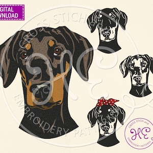 Disegno da ricamo per cane Doberman, modello da ricamo a macchina, download, bandana naturale per Doberman Pinscher, muso carino per animali domestici, colorato, razza di cane