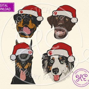 May include: Four different dog breeds wearing Santa hats. The dogs are a Rottweiler, a Labrador Retriever, a Doberman Pinscher, and an Australian Shepherd.