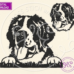 Saint Bernard Dog Embroidery Designs, Embroidery Pattern For Machine, Download, Funny Pet Face Scheme, Peeking Head, Dog Breed, Pes Jef Dst