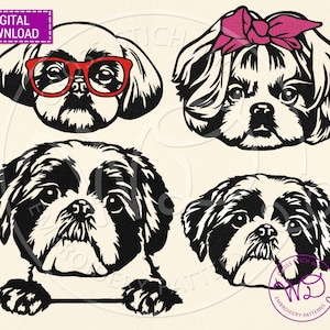 Op de afbeelding: Vier zwart-wit illustraties van Shih Tzu honden. Eén hond draagt een rode bril, een ander heeft een roze strik en twee kijken naar voren.
