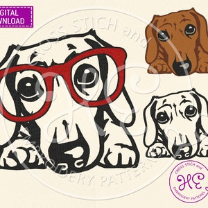 Mini teckel hond borduurontwerpen, machineborduurpatroon, download, Doxie met bril, schattig huisdier glurend gezicht, kleurrijk, hondenras