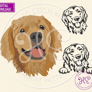 Golden Retriever Dog Embroidery Designs, Machine Embroidery Pattern, Download, Funny Goldie Peeking Scheme, Colorful Outline, Animal Breed