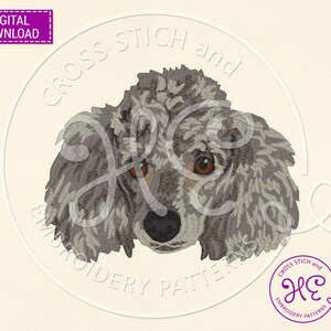 Op de afbeelding: Een grijze en witte poedel met bruine ogen. De kop van de hond is naar voren gericht en de afbeelding is een close-up van het hondenhoofd. De afbeelding is een digitaal borduurpatroon.