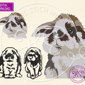 Cute Rabbit Embroidery Design, Embroidery Pattern For Machine, Download, Farmhouse Animal, Realistic Bunny, Colorful Rabbit, Dst Pes Jef Exp