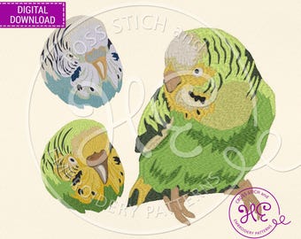 ミニセキセイインコ - 5 cm - 4 x 4 インチの枠 - 鳥の刺繍ファイル
