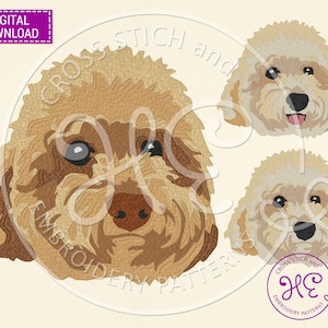 Maltipoo Dog Embroidery Designs, Machine Embroidery Pattern, Download, Cute Puppy, Headband, Colorful Design, Dog Bread Dst Pes Jef Hus Exp