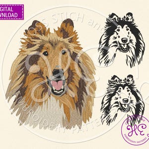 Rough Collie Embroidery Design, Machine Embroidery Pattern, Download, Outline Sketch, Shetland Sheepdog, Sheltie, Dog Breed, Dst Pes Jef Exp
