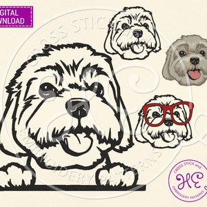 Malteser Stickerei Designs, Maschinenstickerei Muster, Download, lustiger Hund Malteser, Hunderasse, Dst Pes Jef