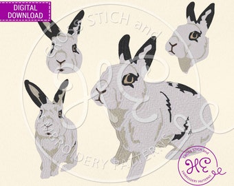 Rabbit Embroidery Design, Embroidery Pattern For Machine, Download, Farmhouse Animal, Realistic Bunny, Colorful Rabbit Body, Dst Pes Jef Exp