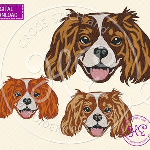 Cavalier King Charles Spaniel Art Hund Stickmuster, Maschinenstickmuster, Download, Haustier Gesicht Schema, bunte Tier Pes Brother