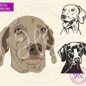 以下が含まれることがあります： 3つの異なるスタイルのワイマラー犬のデジタル刺繍パターン。1つ目は、犬の頭のリアルなカラー画像。2つ目は、犬の頭の白黒線画。3つ目は、犬の頭の白黒シルエットです。