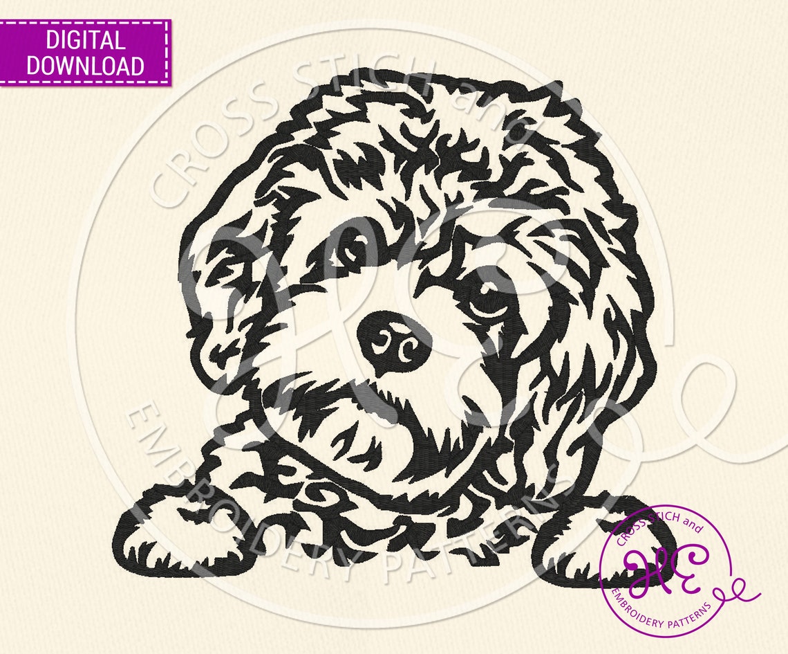 Cavapoo Dog Embroidery Designs Machine Embroidery Pattern Etsy UK