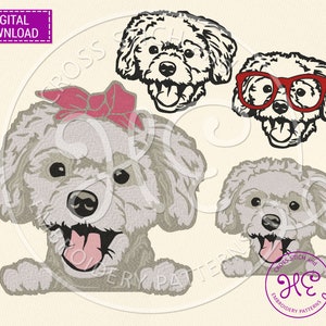 Maltipoo Dog Embroidery Designs, Machine Embroidery Pattern, Download, Cute Puppy, Peeking Head Paw, Headband, Colorful Design, Dst Pes Jef