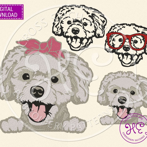 Maltipoo Dog Embroidery Designs, Machine Embroidery Pattern, Download, Cute Puppy, Peeking Head Paw, Headband, Colorful Design, Dst Pes Jef