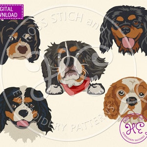 Cavalier King Charles Spaniel Embroidery Designs, Machine Embroidery Pattern, Download, Cute Dog Face, Pet Peeking Scheme, Colorful Animal