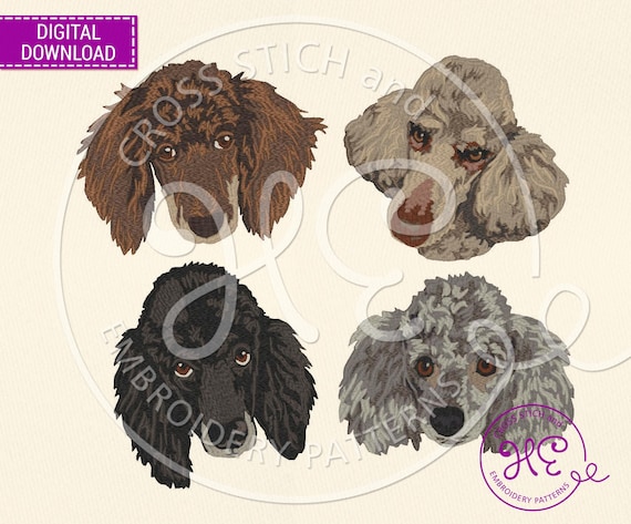 Poodle Embroidery Dog Designs, Machine Embroidery Pattern, Download, Cute Colorful Pet Scheme, Dog Breed Janome Tajima Babylock Melco Viking
