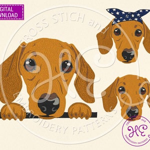 Rode teckel hond borduurwerk ontwerpen, machine borduurpatroon, download, huisdier portret, schattig huisdier glurend gezicht, kleurrijk ontwerp, hondenras