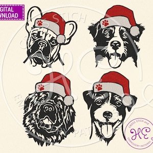 May include: Four different dog breeds wearing Santa hats. The dogs are a French Bulldog, a Border Collie, a Leonberger, and a Jack Russell Terrier. The dogs are all facing forward and have a happy expression on their faces.