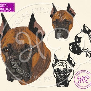 Boxer Dog Embroidery Design, Machine Embroidery Pattern, Download, Pet Portrait, Cropped Ear Boxer, Colorful Art, Dog Breed, Dst Pes Jef Exp