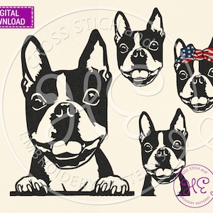 Boston Terrier Dog Embroidery Designs, Machine Embroidery Pattern, Download, Cute Pet Face Scheme, Peeking Head Paw, Breed, Bernina Tajima