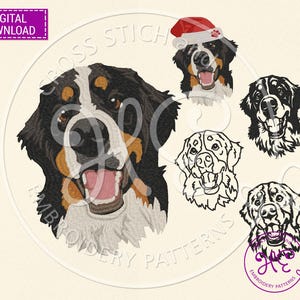 Diseños de bordado de perro de montaña bernés, patrón de bordado, descarga instantánea, cara divertida de mascota, diseño animal realista, boceto de contorno de raza