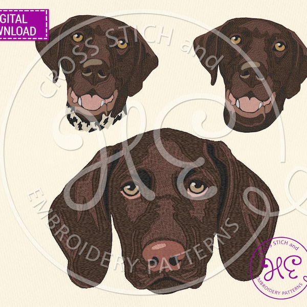 Tedesco Shorthaired Pointer Embroidery Designs, Machine Embroidery Pattern, Download, Ucraina Shops, Hunting Dog Colorful, Dog Breed, Tajima