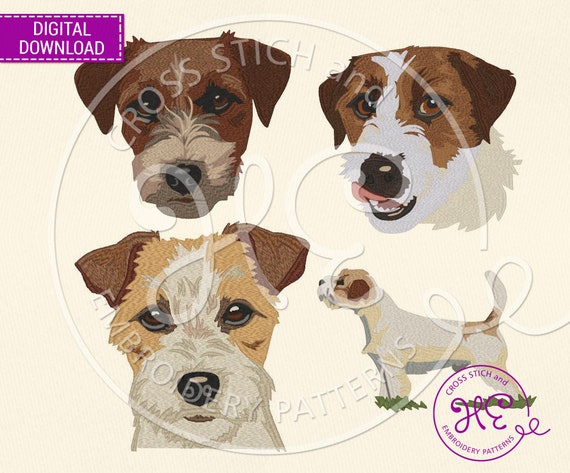 Jack Russell Terrier Dog Embroidery Designs, Machine Embroidery Pattern, Download, Colorful Pet Face Scheme, Animal Body, Melco Janome