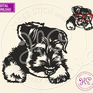 Miniature Schnauzer Embroidery Design, Machine Embroidery Pattern, Download, Ukraine Shops, Cute Face Glasses Scheme, Outline Sketch, Breed
