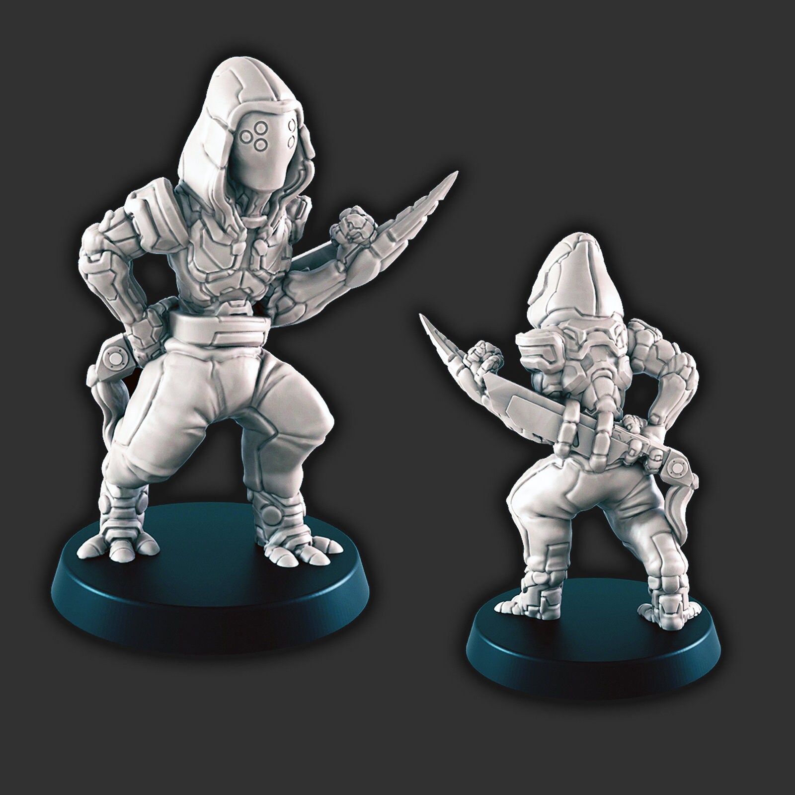 Assassin Mini - 3D Printed Model 28/32mm Scale RPG Fantasy Games D&D ...
