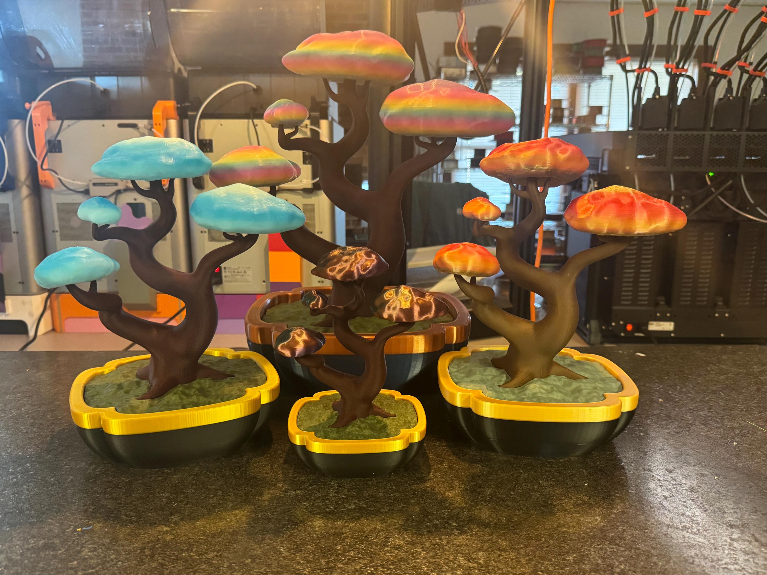 No Maintenance Bonsai Tree and Hidden Storage - Etsy