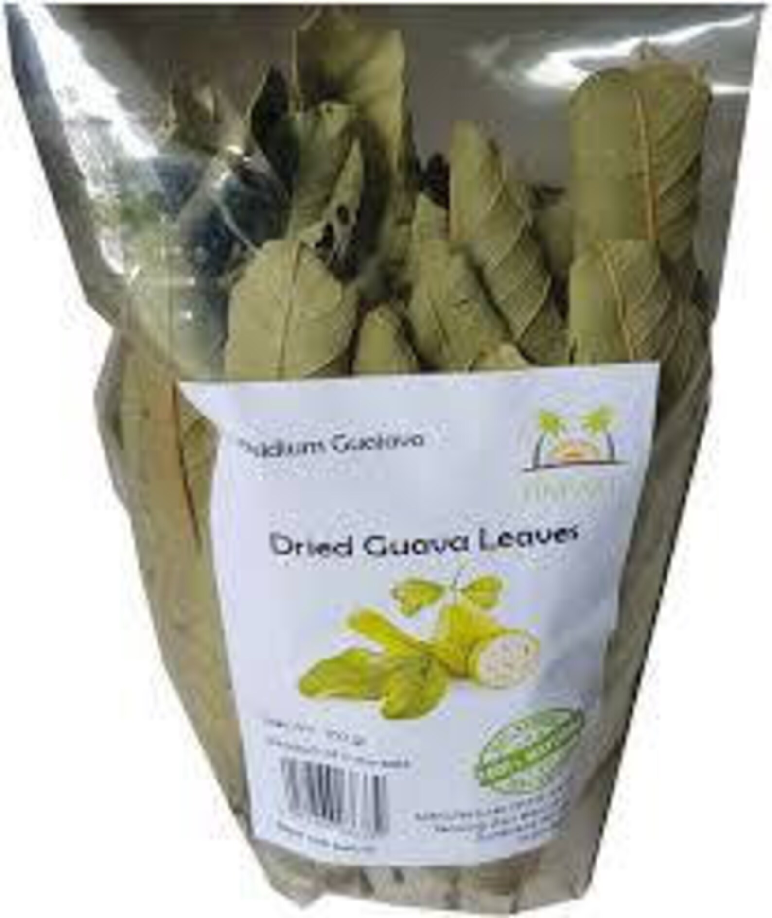 100 Dried guava leaves. ORGANIC fresh GUAVA Leaves For Tea Etsy