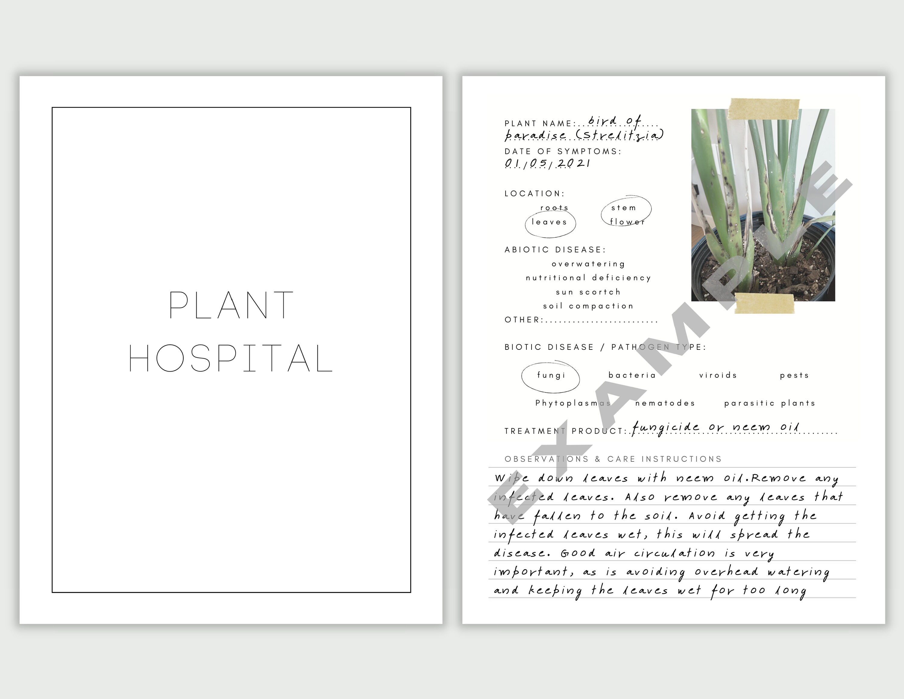 Black and White Minimal Plant Journal Printable, B&W Houseplant Planner