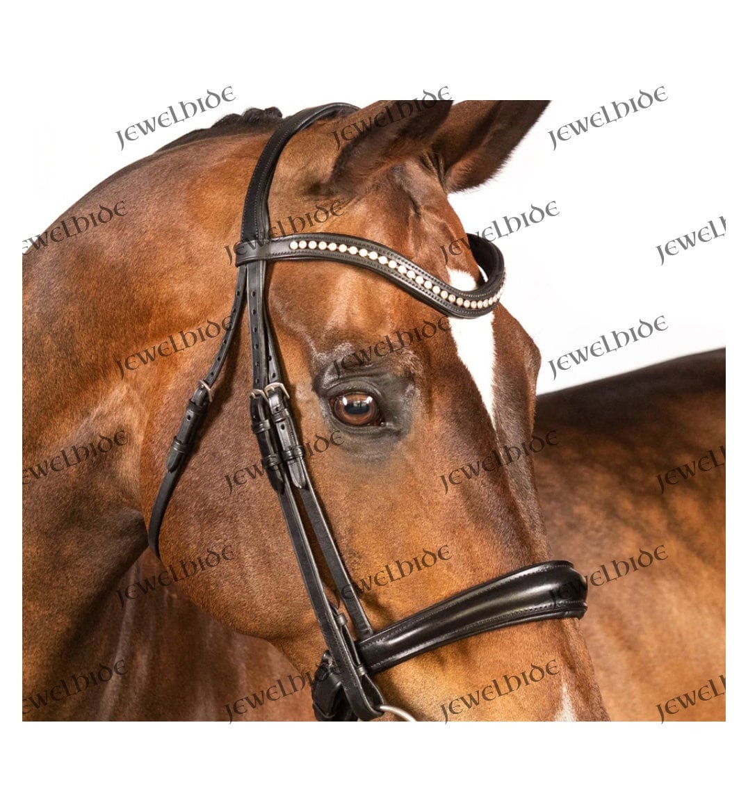 Beautiful Patent leather bridle with detailed browband size Full Black 