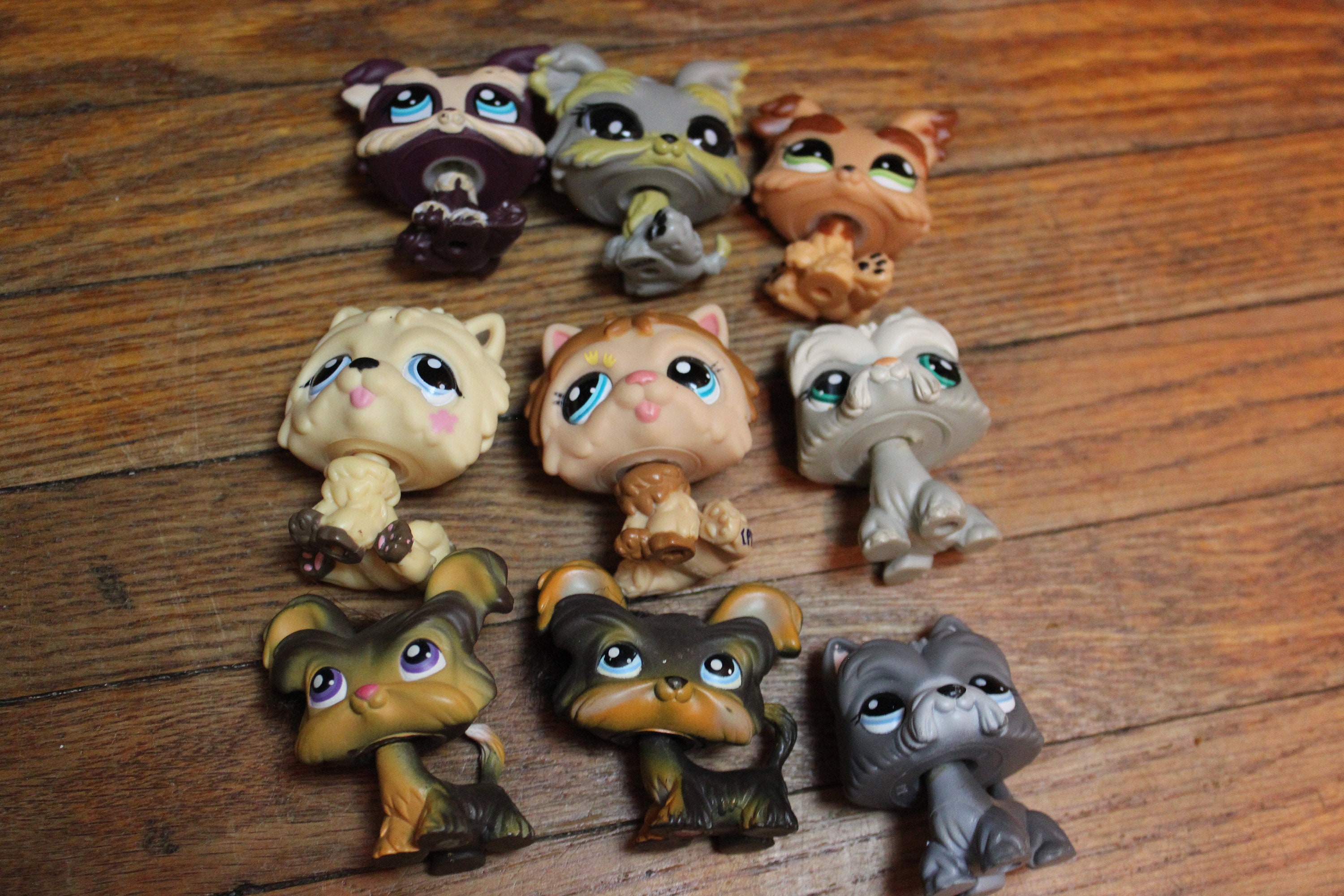 LPS Littlest pet shop chien European cat dogue colley cat dog rare