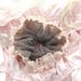 Pear Bear Mauve Pink Satin Hair Bow main image 1