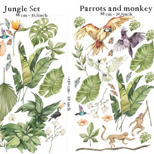 calcomanías de la selva para guardería, pegatinas de la selva, calcomanías de pared para guardería, calcomanías para habitación infantil, calcomanía de mariposa, calcomanía de pájaros tropicales, imagen 3
