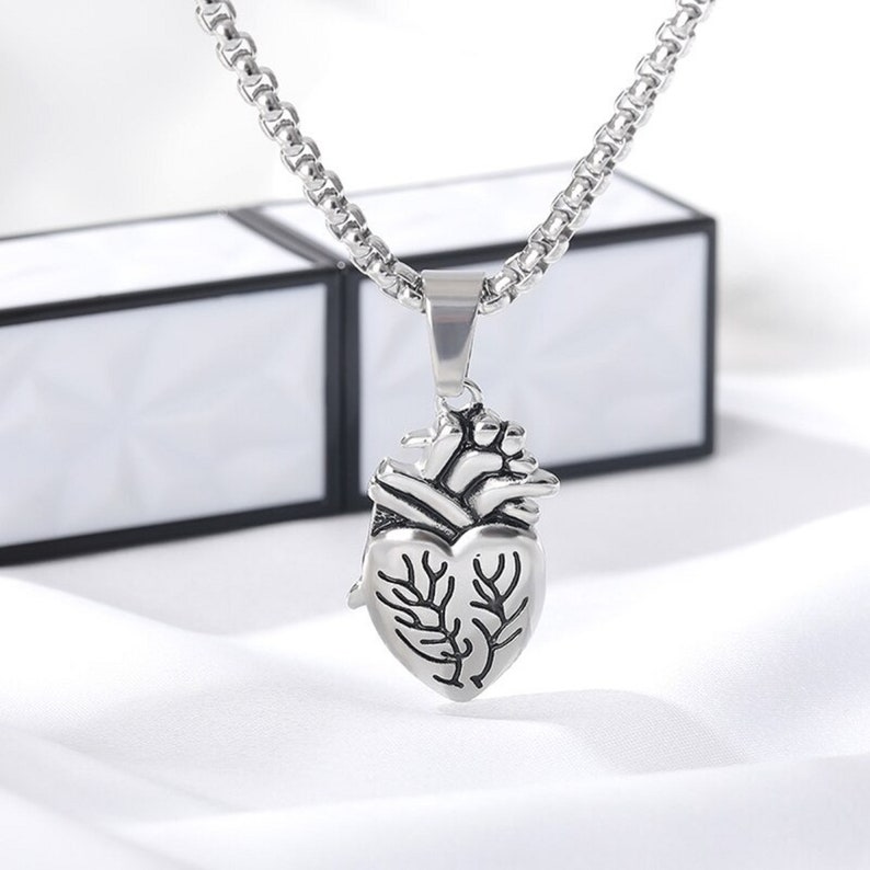 Pu&ograve; includere: Una collana d'argento con un ciondolo a forma di cuore anatomico dettagliato. Il cuore &egrave; aperto e mostra la sua struttura interna.