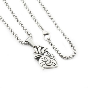 Pu&ograve; includere: Una collana con catena d'argento con un ciondolo a forma di cuore anatomico dettagliato.
