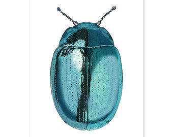 Blue Beetle - Fine Art Print