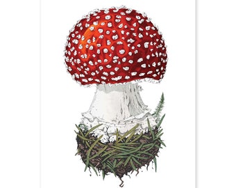 The Mushroom - Fine Art Print