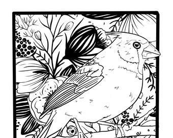 Download Cardinal Coloring Etsy