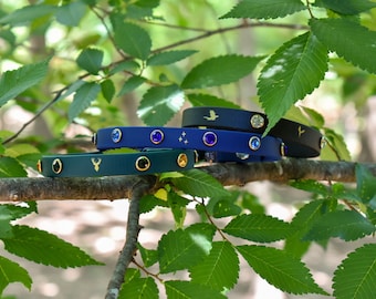 Cat Collars: bookish, Custom Fit, Safety Buckle